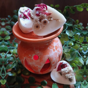 Perl Mini Burner with Wax Melts