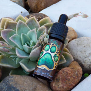 Rose Infused Eye Cleaner for Dogs