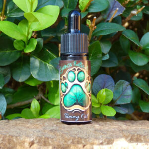 tummy oil for dogs