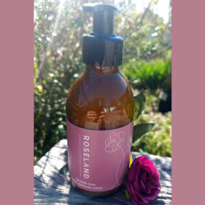 Rose Water Moisturizer