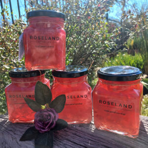 rose petal cordial